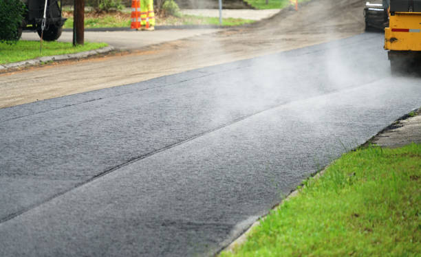 Best Driveway Pavers Contractor  in Clio, AL